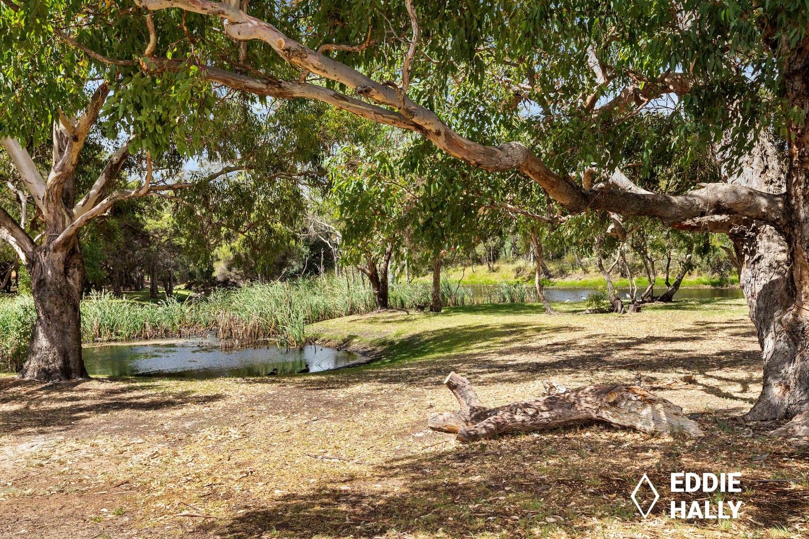 4 bedrooms House in 9 Sandpiper Loop YANGEBUP WA, 6164