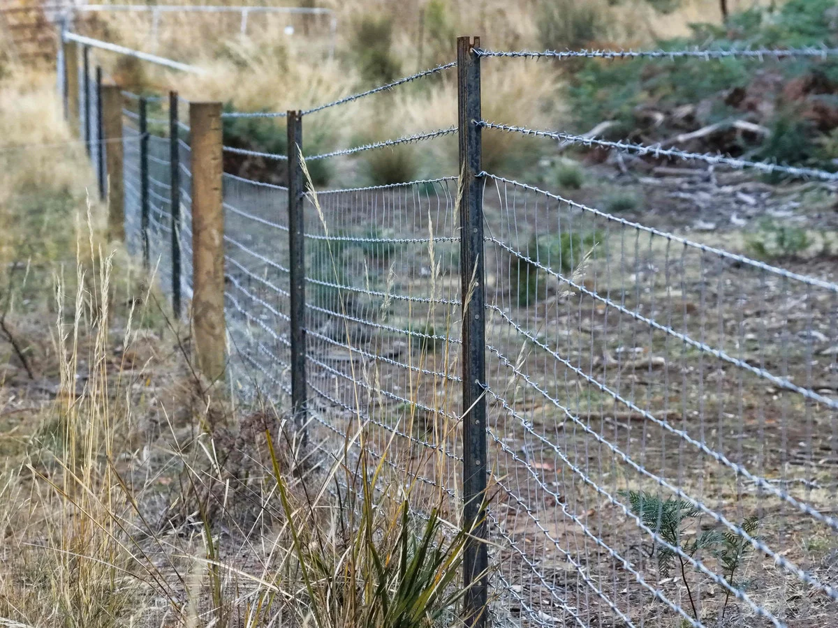 Additional image 12 of Sorrento Park, 304 Porters Bridge, Exton TAS 7303