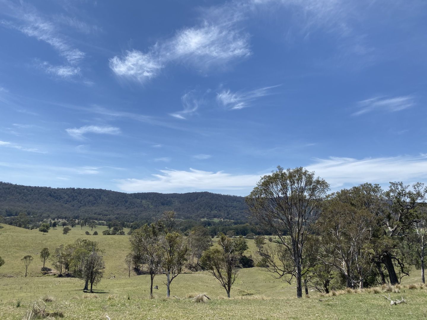 Lot 3 Greendale Road, Bega NSW 2550, Image 1