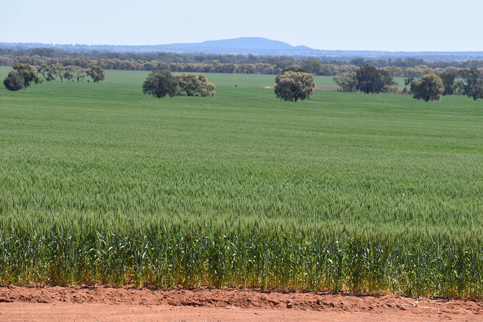 Image 10