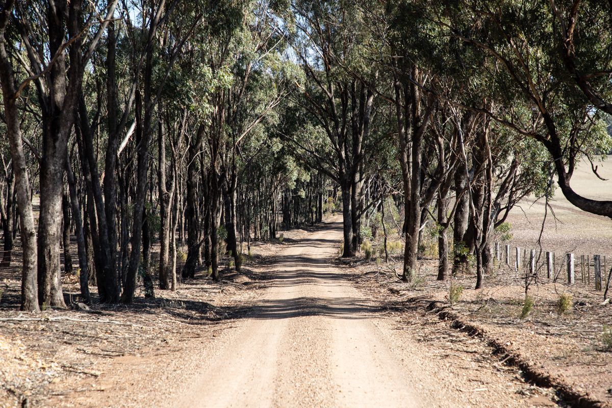 95 Smith Road, Murchison VIC 3610, Image 1