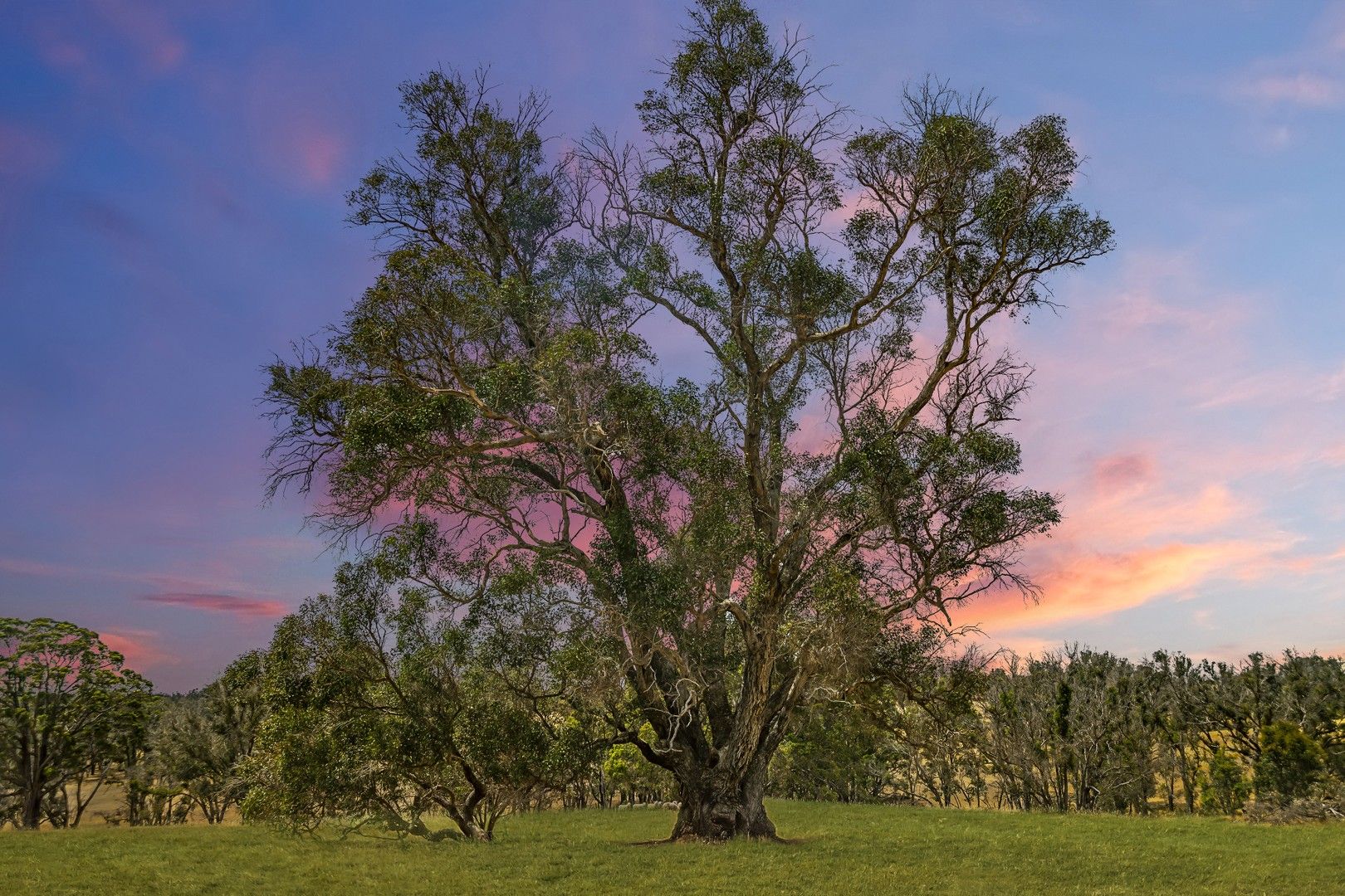 78 Ridge View Avenue, Boyup Brook WA 6244, Image 1