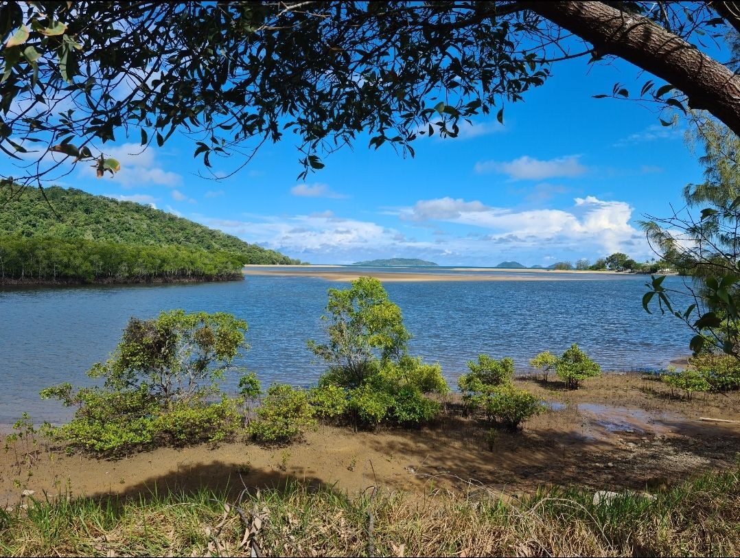 Lot 5 Paradise Palms Drive, Tully Heads QLD 4854, Image 1