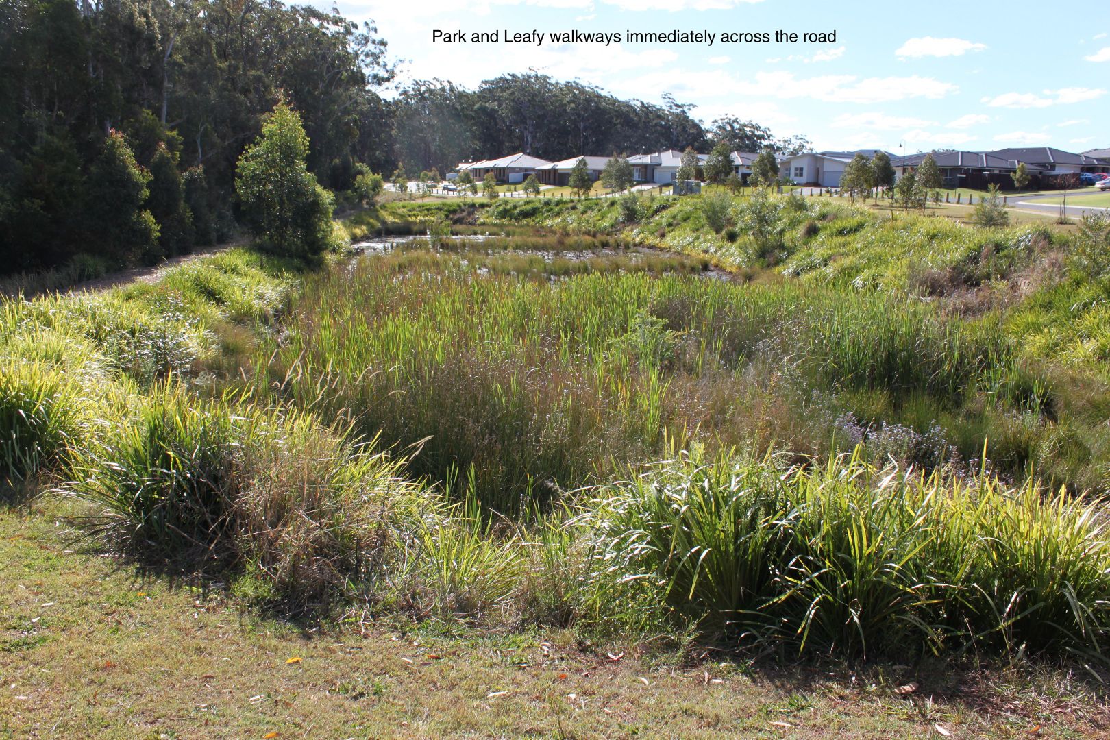 163 The Point Drive, Port Macquarie NSW 2444, Image 2