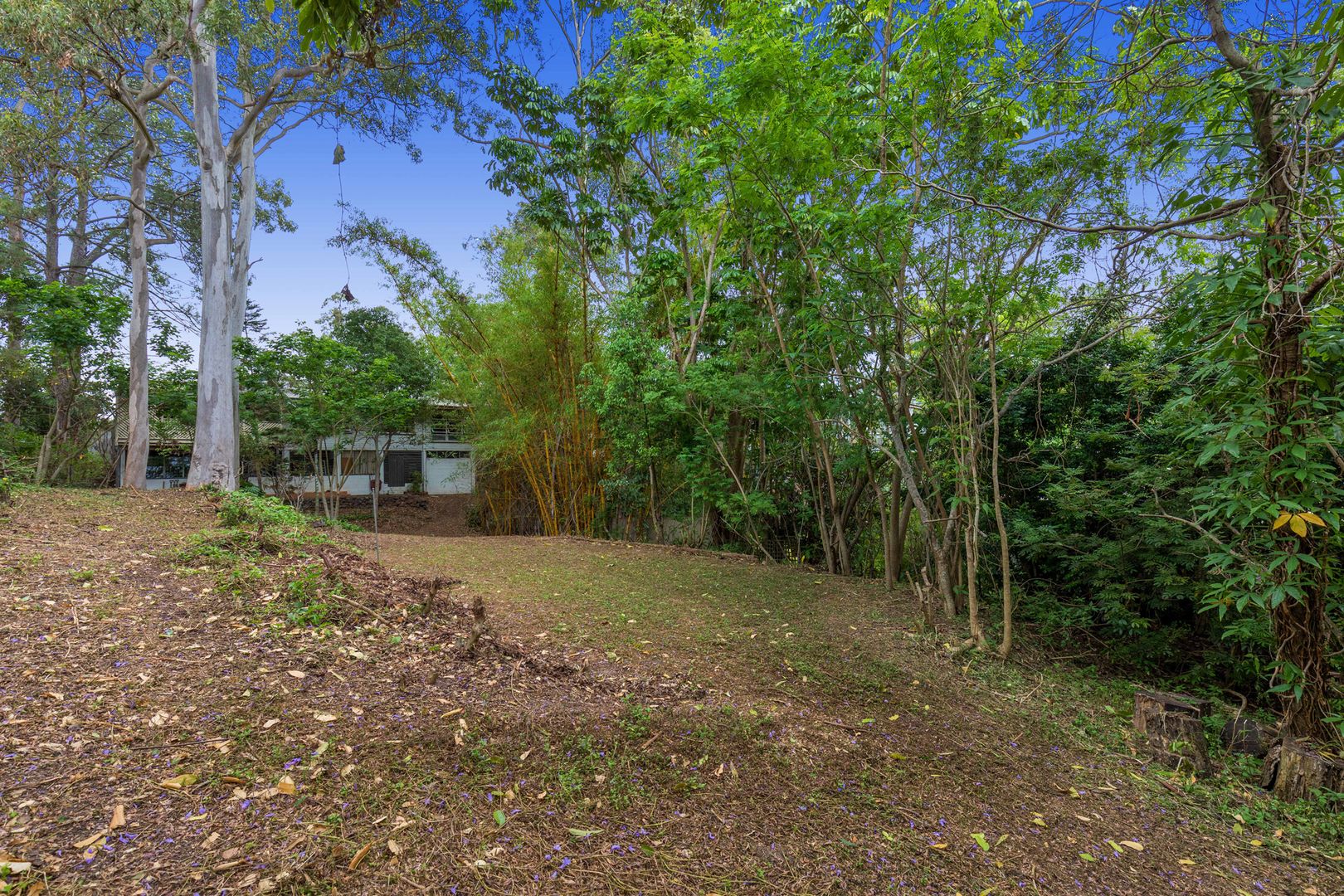 194 Jesmond Road, Indooroopilly QLD 4068, Image 2