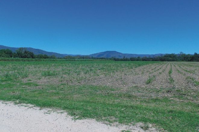 Picture of Lot 10 & 14 Stone River Road, UPPER STONE QLD 4850