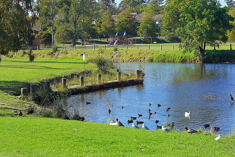 Additional image 11 of 1/42 Scott Grove, Glen Iris VIC 3146