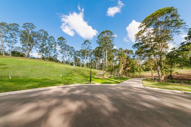 Picture of Lot 20 Platypus Creek Road, DULONG QLD 4560