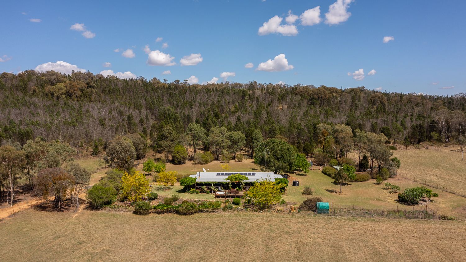 919 Spring Ridge Road, Gulgong NSW 2852, Image 0