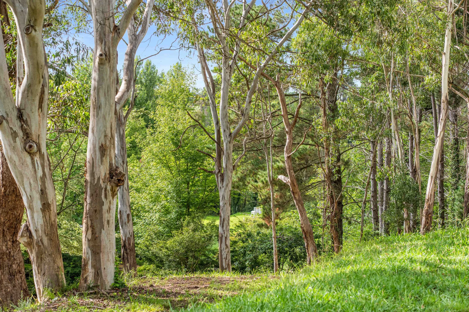 Additional image 12 of 41 Oxleys Hill Road, Bowral NSW 2576