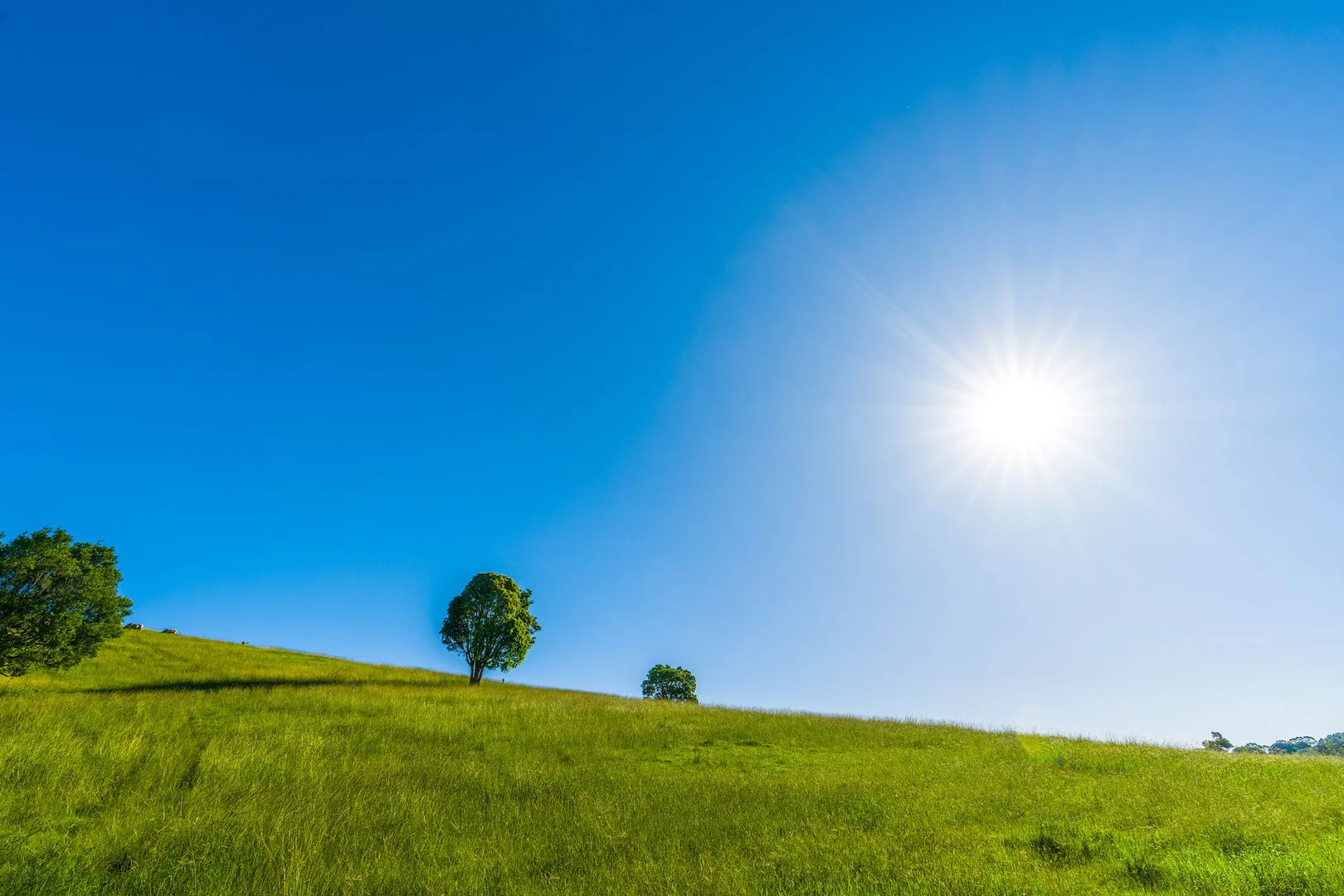 Additional image 20 of 79 Johnston Road, Clunes NSW 2480