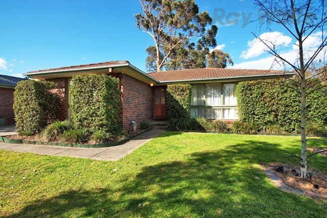74 Apartments For Rent In Heathmont Vic 3135 Domain