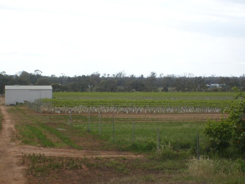 Section 96 Loxton Road, MOOROOK SA 5332, Image 0