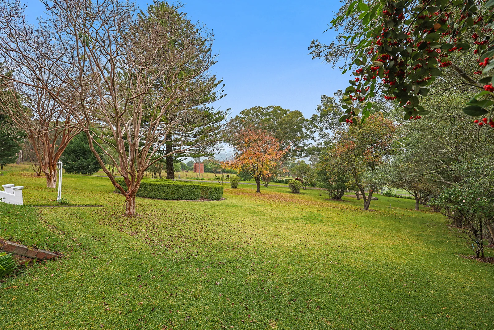 Additional image 32 of 80 Doughboy Street, Murrurundi NSW 2338