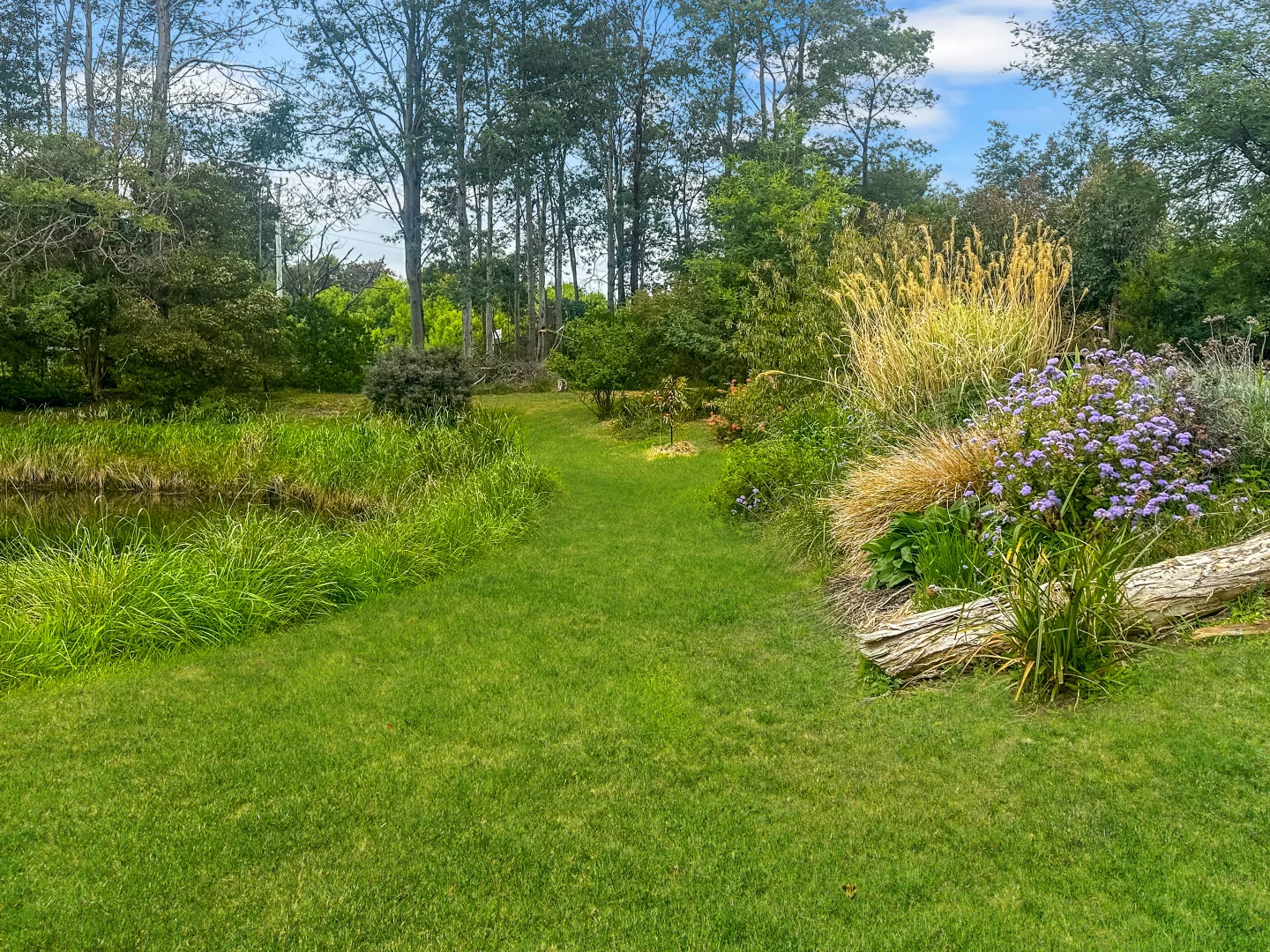 Image 13
