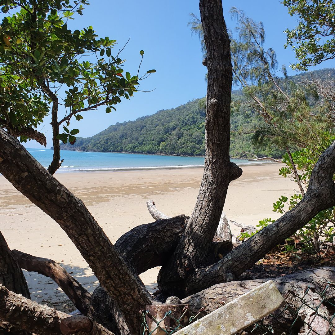 178 Cedar Road, Cow Bay, Daintree QLD 4873, Image 1