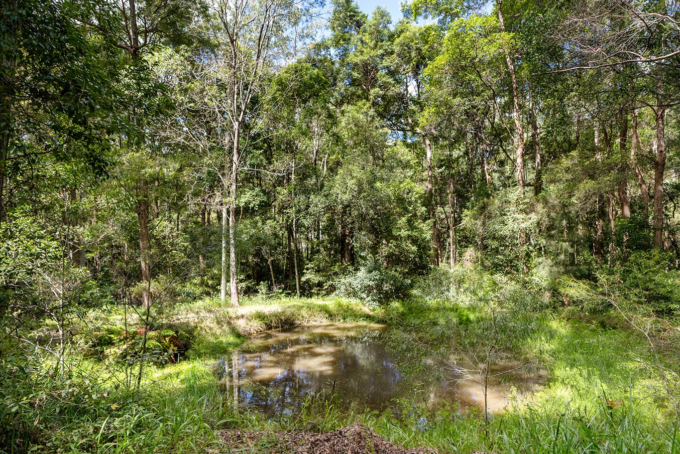Additional image 30 of 4 Sapling Court, Pomona QLD 4568