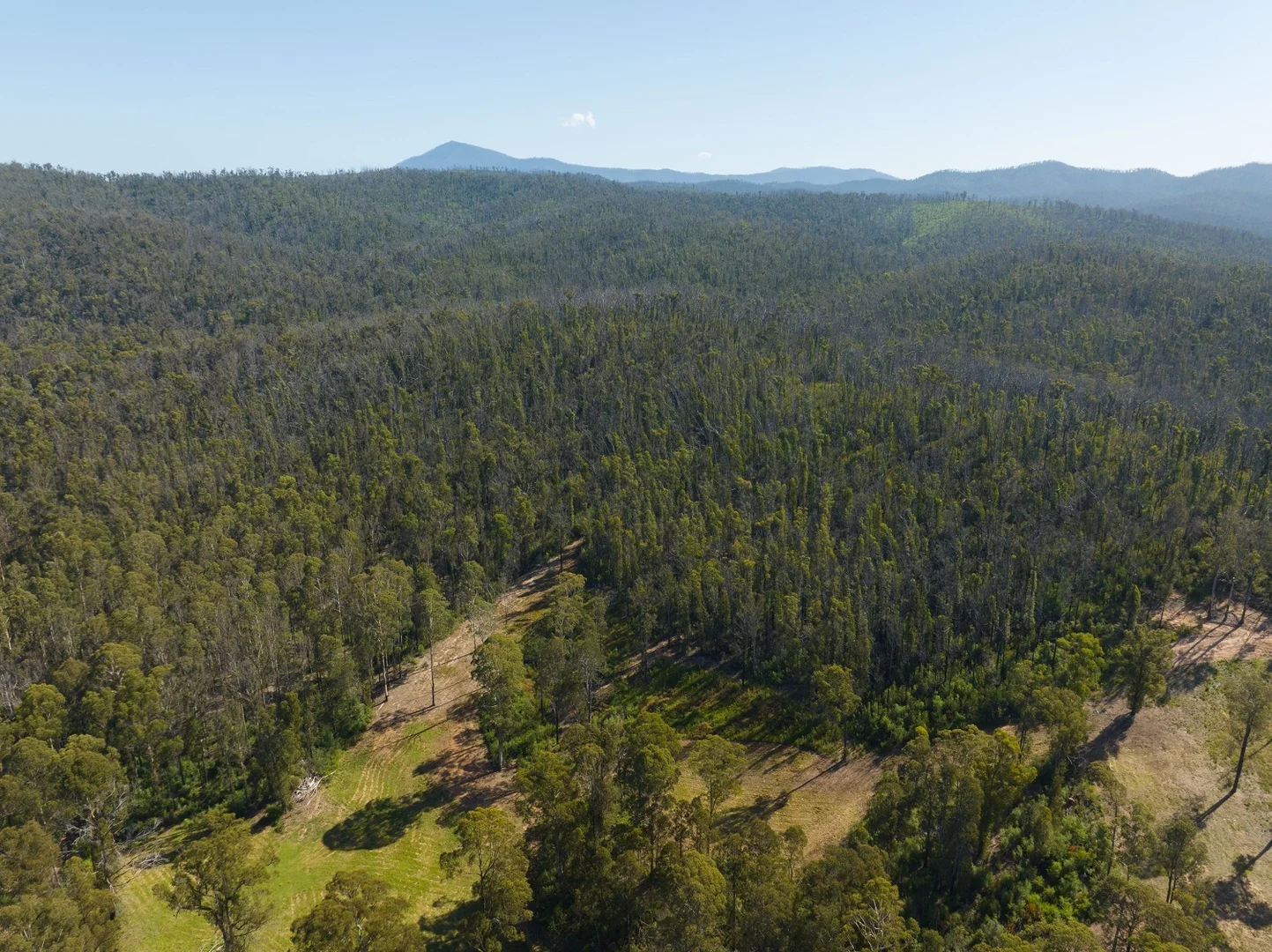 Additional image 6 of Lot 3 DP 624612 Nullica Short Cut Rd Boydtown Via, Eden NSW 2551