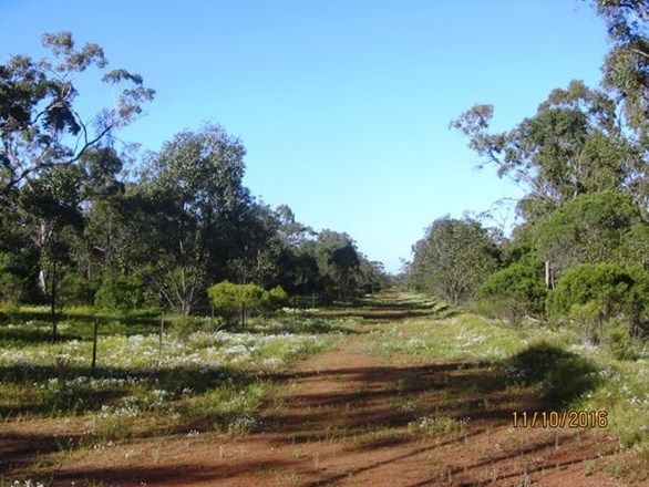 * Salt Bush Holdings, Cobar NSW 2835, Image 2