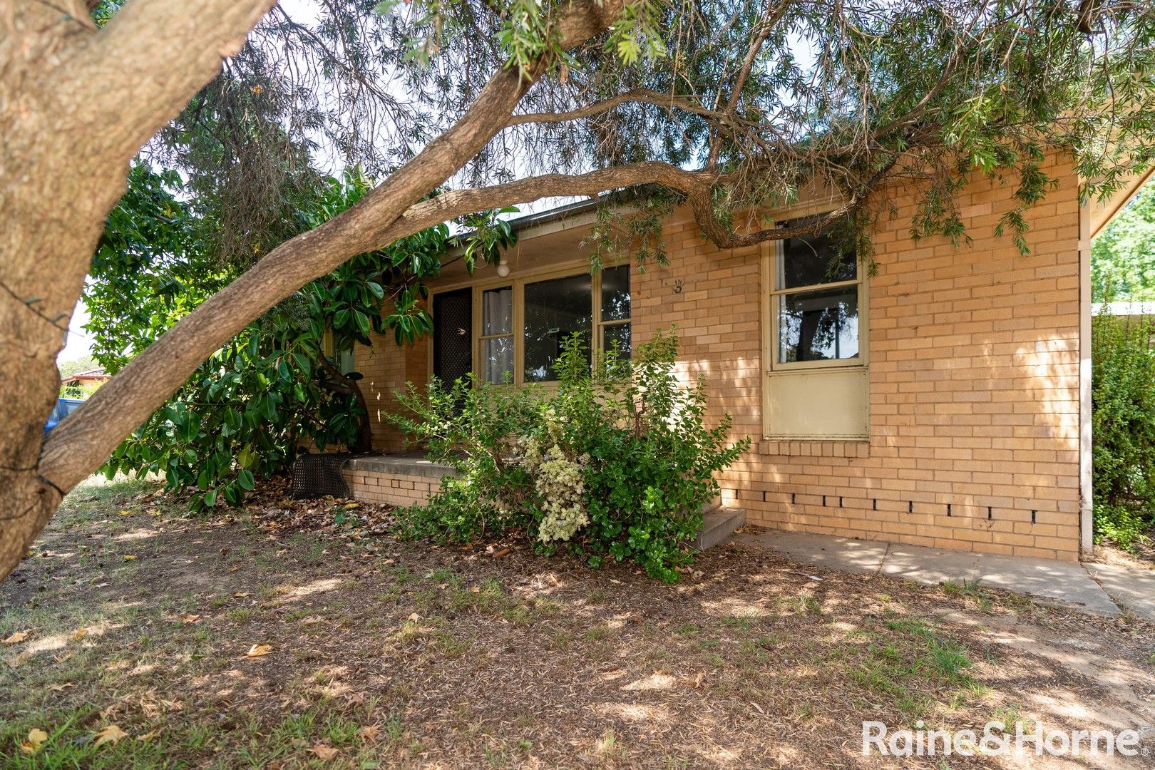 44 Bruce Street, Tolland NSW 2650 House For Rent Domain