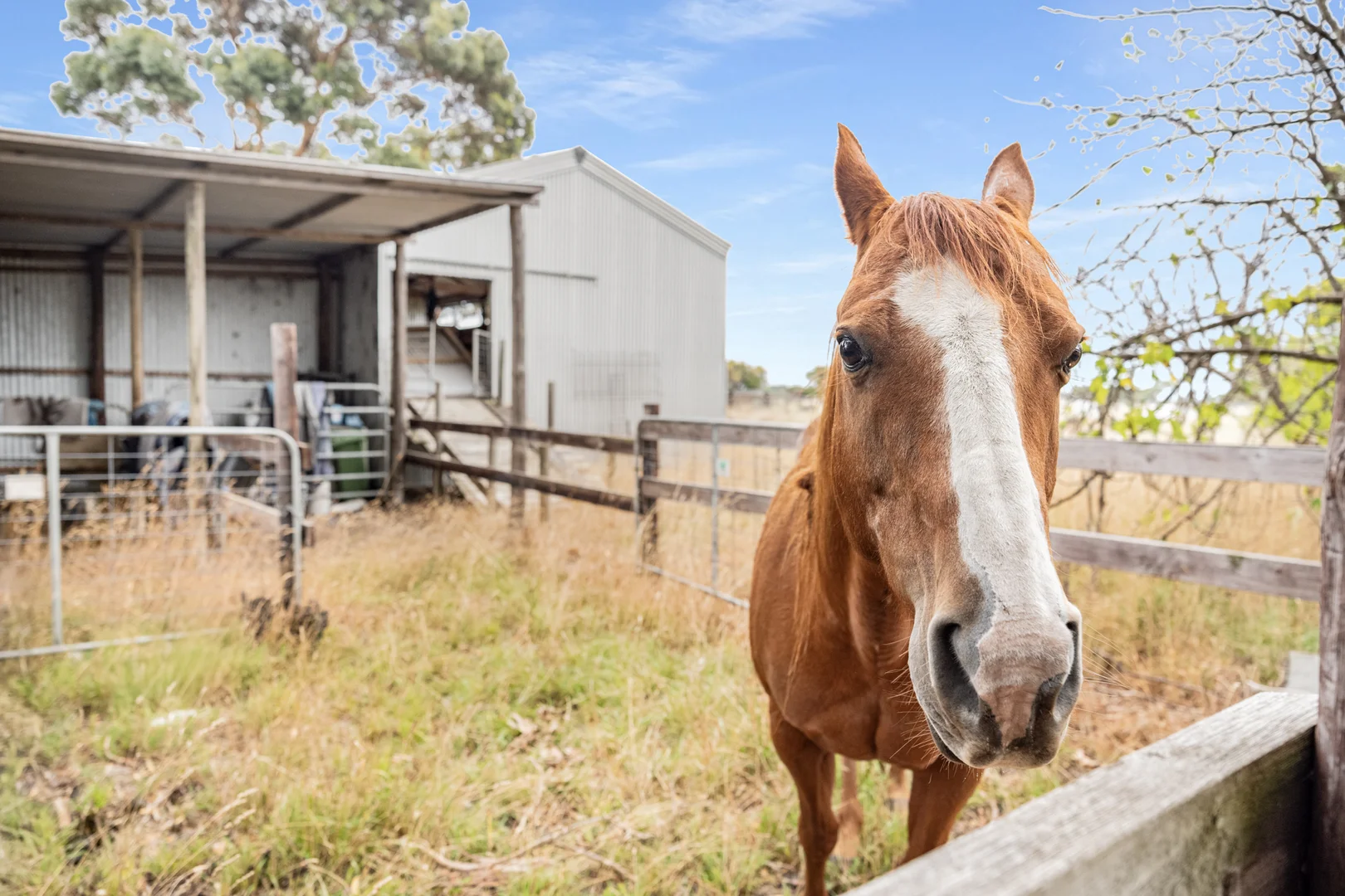 Additional image 36 of 4437 Southern Ports Highway, Robe SA 5276