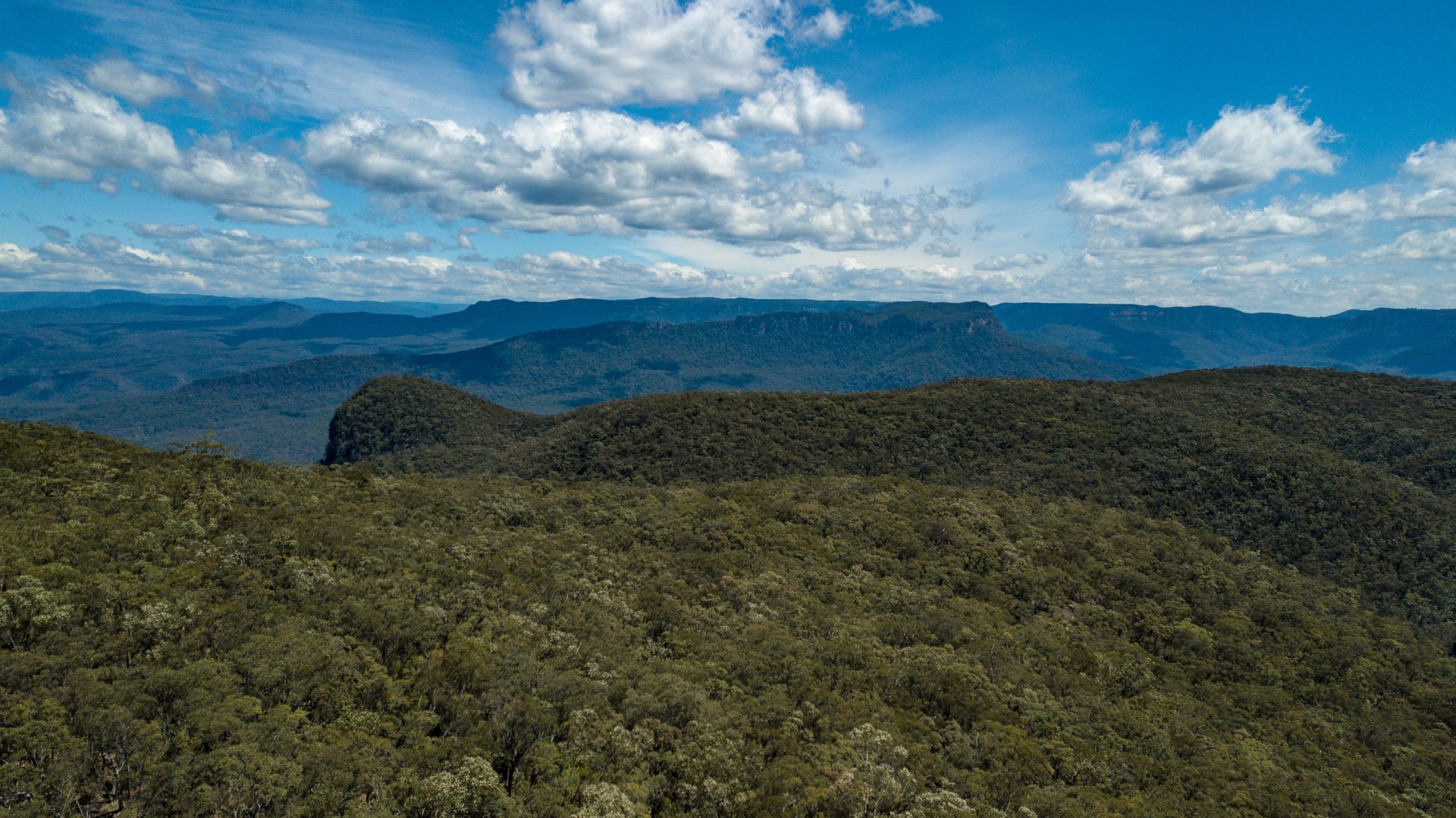 Lot 42 Kings Tableland Road, Wentworth Falls NSW 2782, Image 1