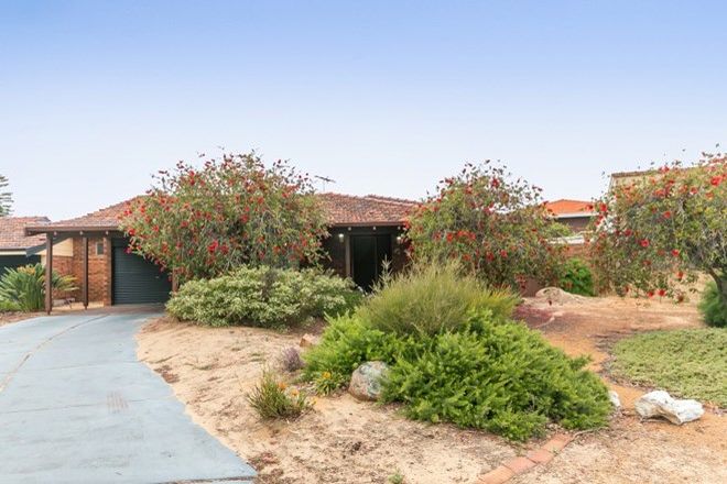 Picture of 51B Mannion Way, KARDINYA WA 6163