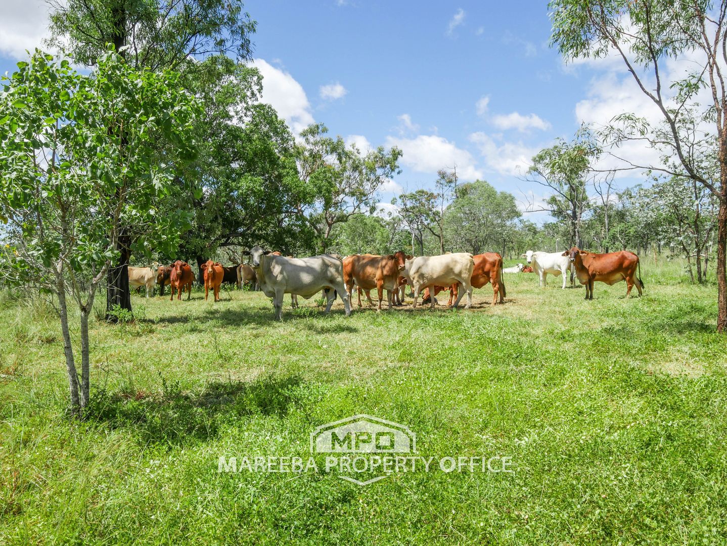 43 Campbell Road, Mutchilba QLD 4872, Image 2