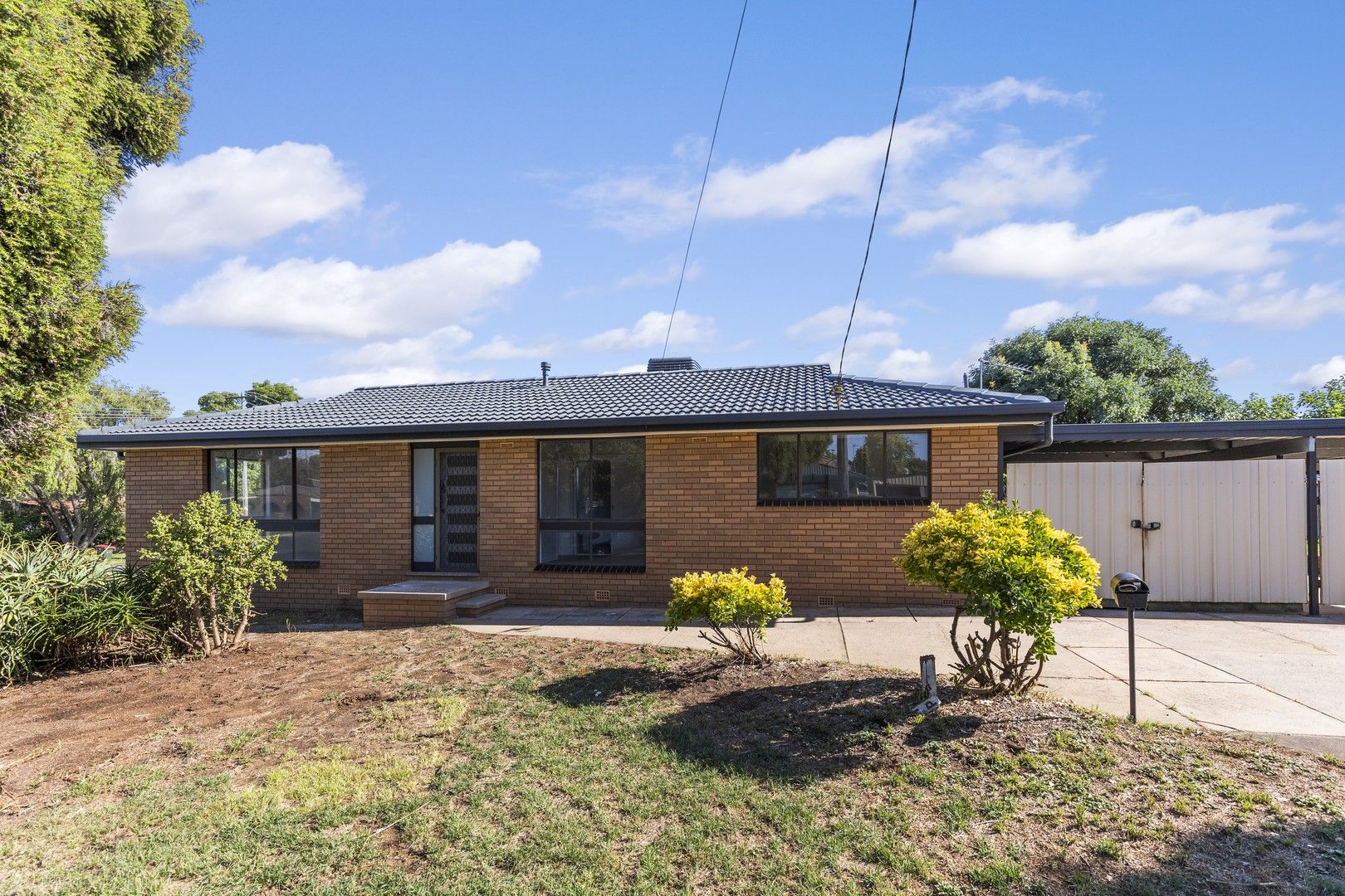 8 Swan Street, Wagga Wagga NSW 2650, Image 0