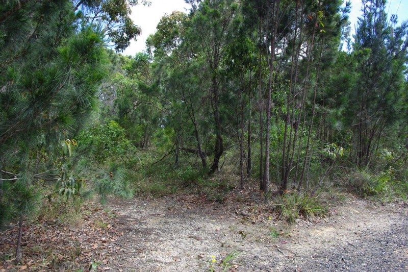 176 Wallaga Lake Road, Wallaga Lake NSW 2546, Image 2