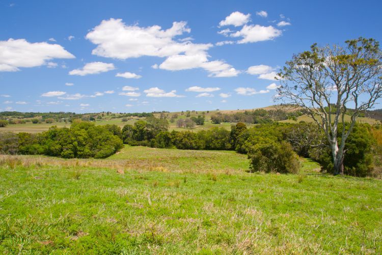 306 Tucki Road, Marom Creek NSW 2480, Image 0