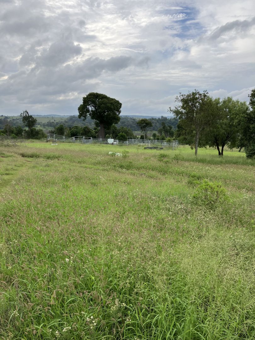 Bunya Mountains QLD 4405, Image 2