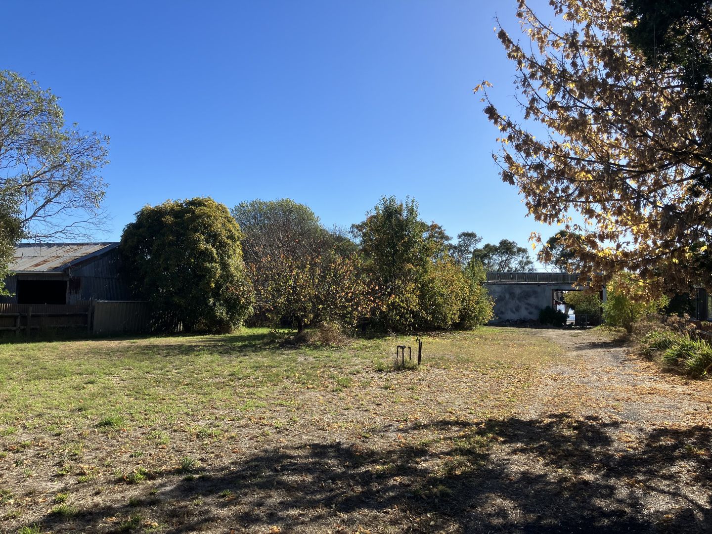 Proposed 144 Elizabeth Street, Edenhope VIC 3318, Image 1