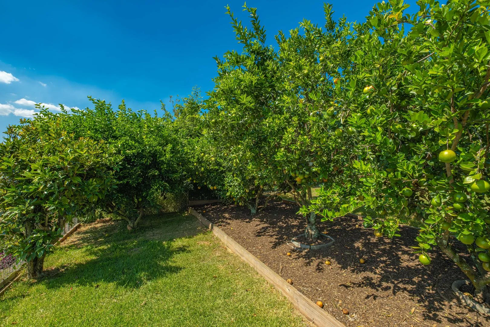 Additional image 44 of 18 Philip Street, Kenilworth QLD 4574