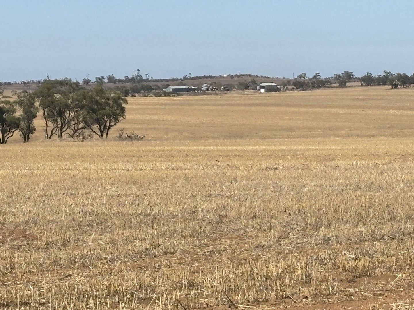 Bunjil-Carnamah Road, Carnamah WA 6517, Image 2