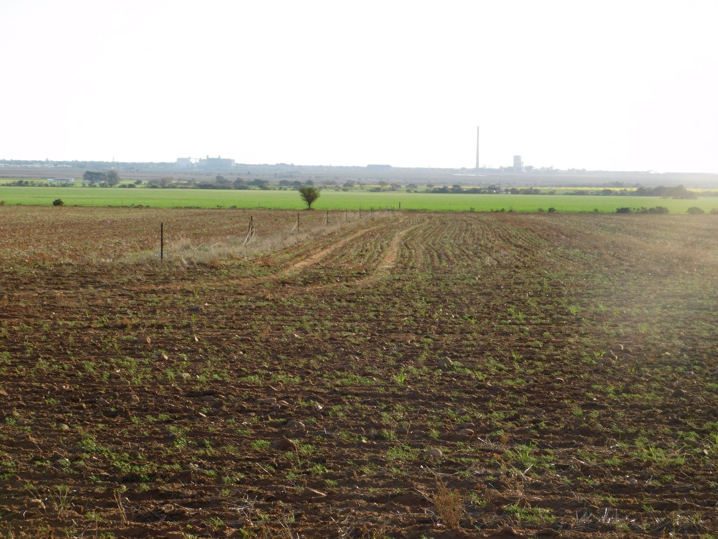 Allotment 103 Jericho Road, Napperby SA 5540, Image 2