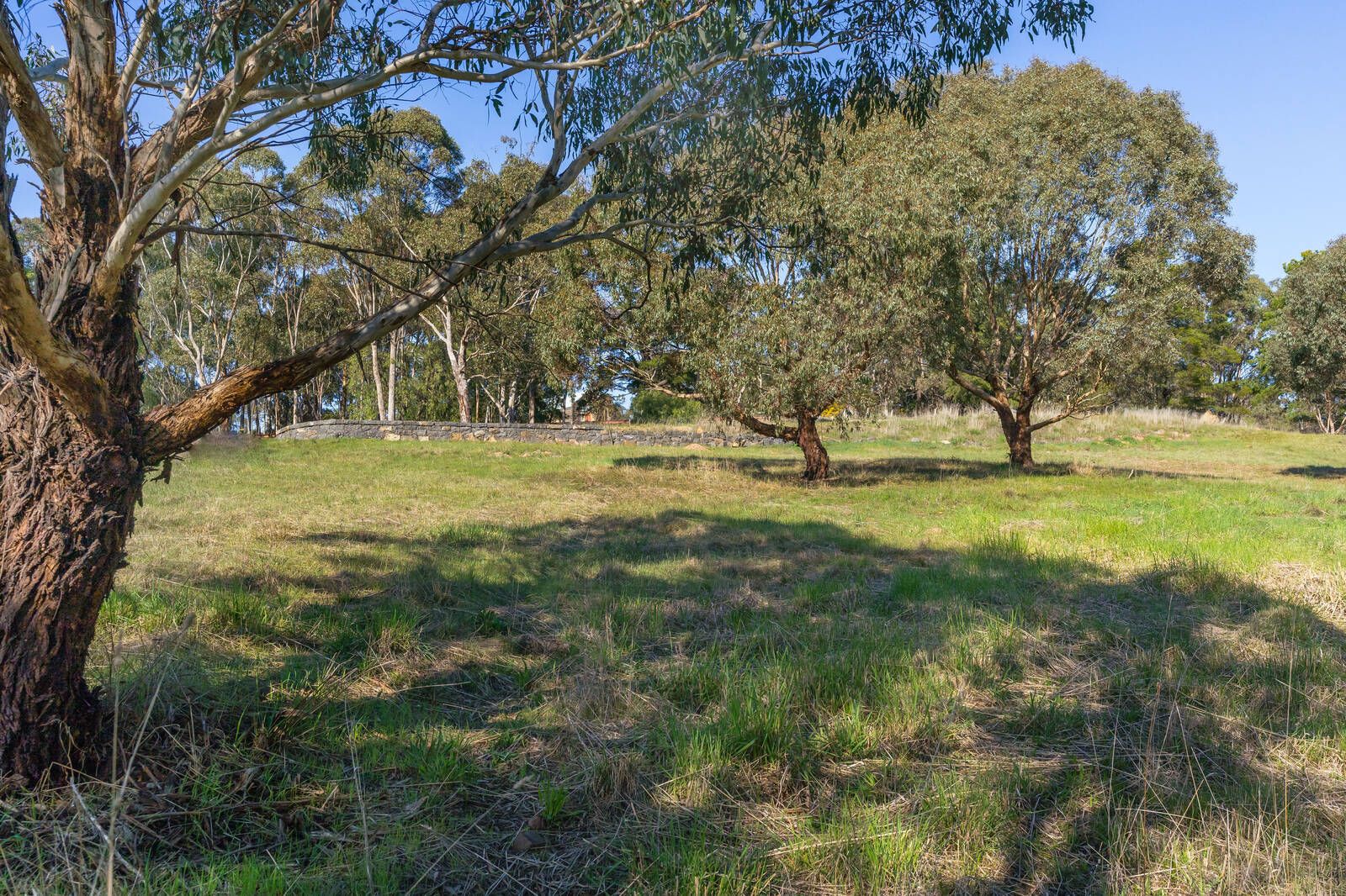 20 Matheson Road, Redesdale VIC 3444, Image 0