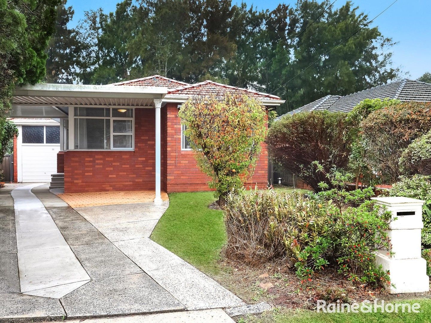 22 Edith Street, Bardwell Park NSW 2207, Image 0