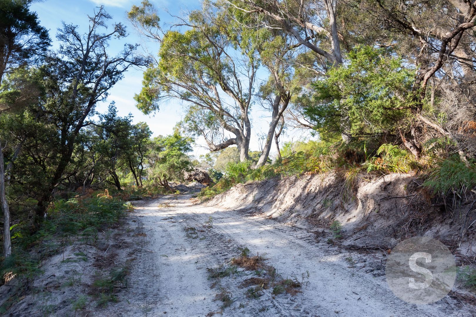 61 Fannys Bay Road, Lulworth TAS 7252, Image 2