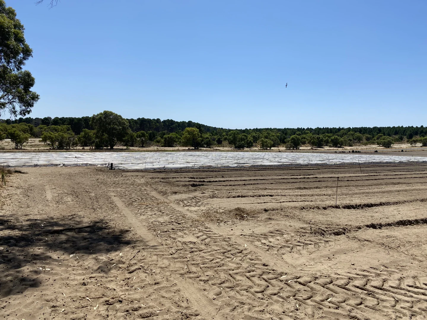 Additional image 18 of 440 Old Yanchep Road, Carabooda WA 6033