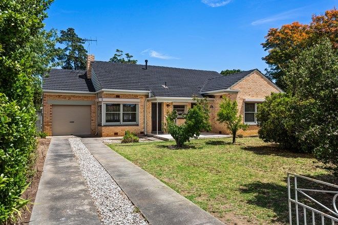 78 Rental Properties In South Plympton Sa 5038 Domain