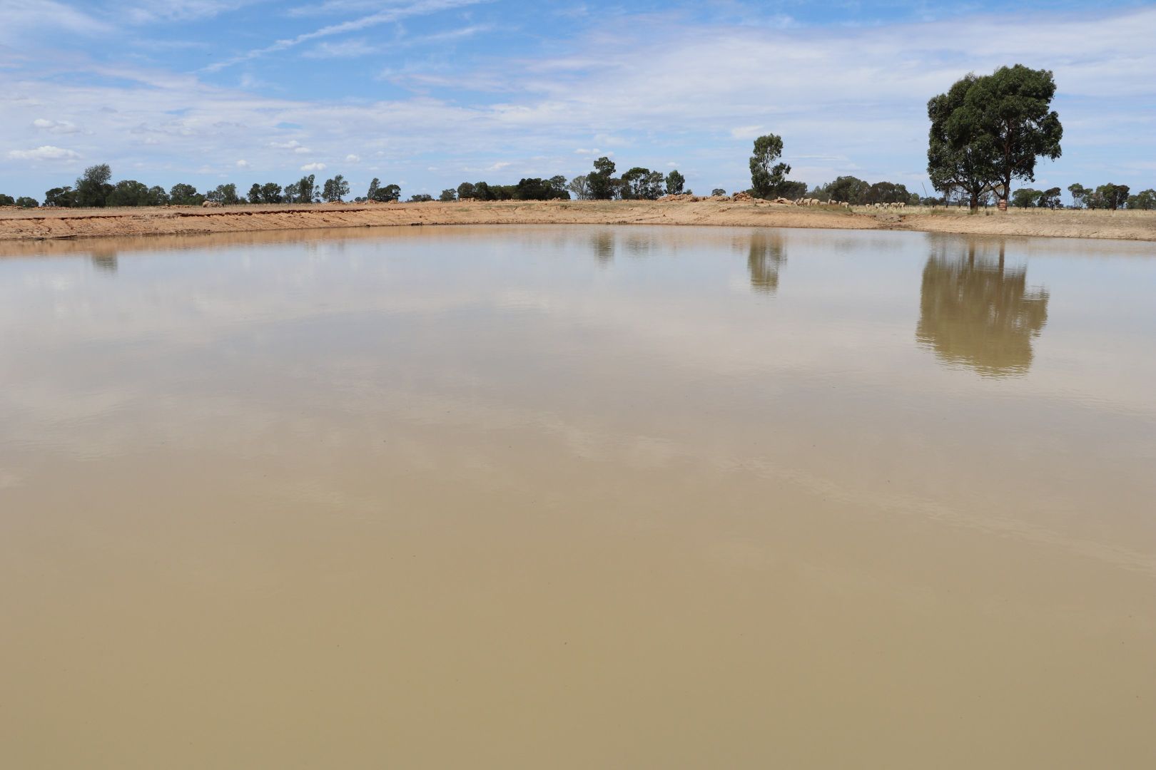 'Benburb' Wide Lane, Osborne NSW 2656, Image 2