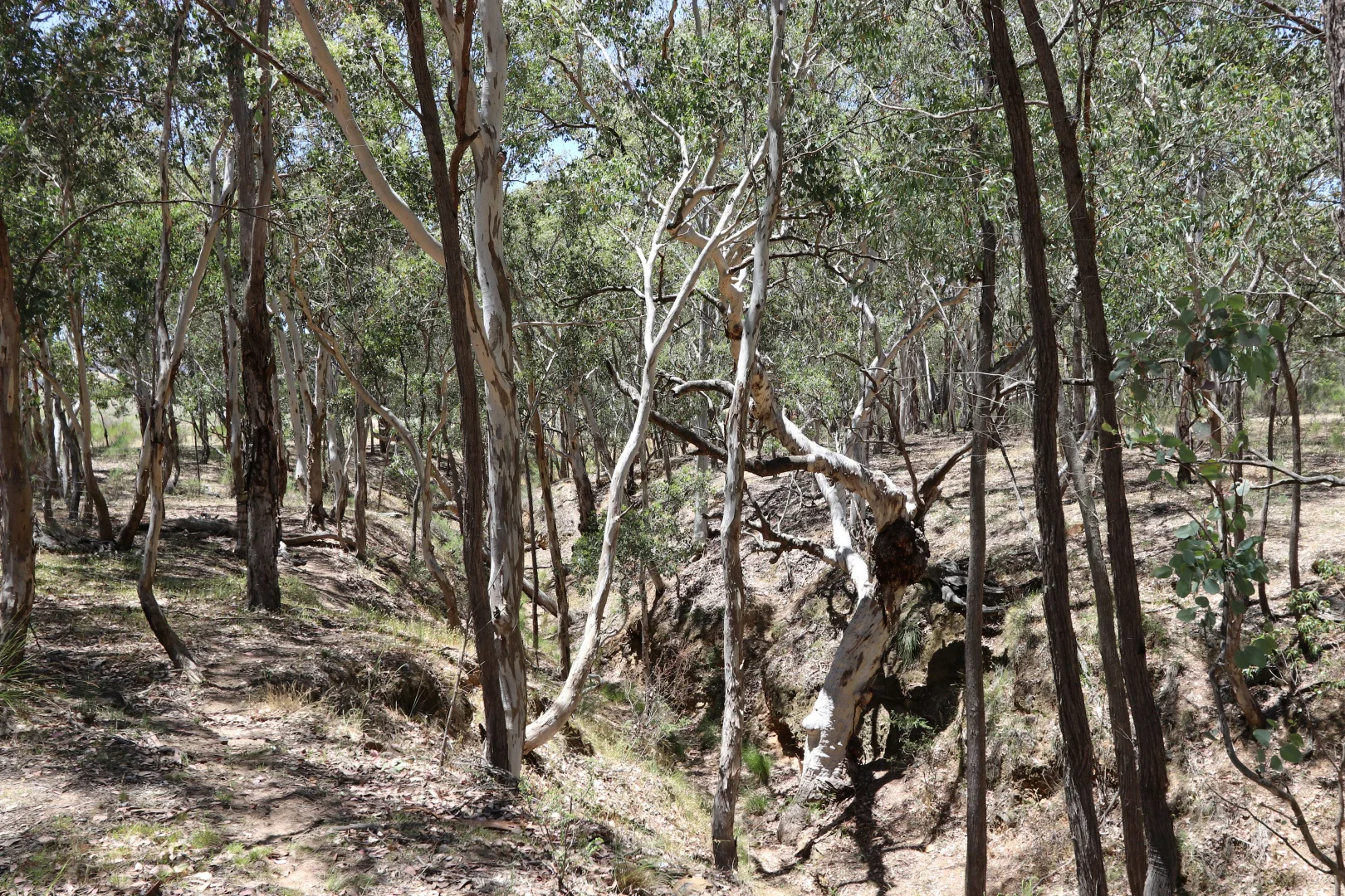 Image 25