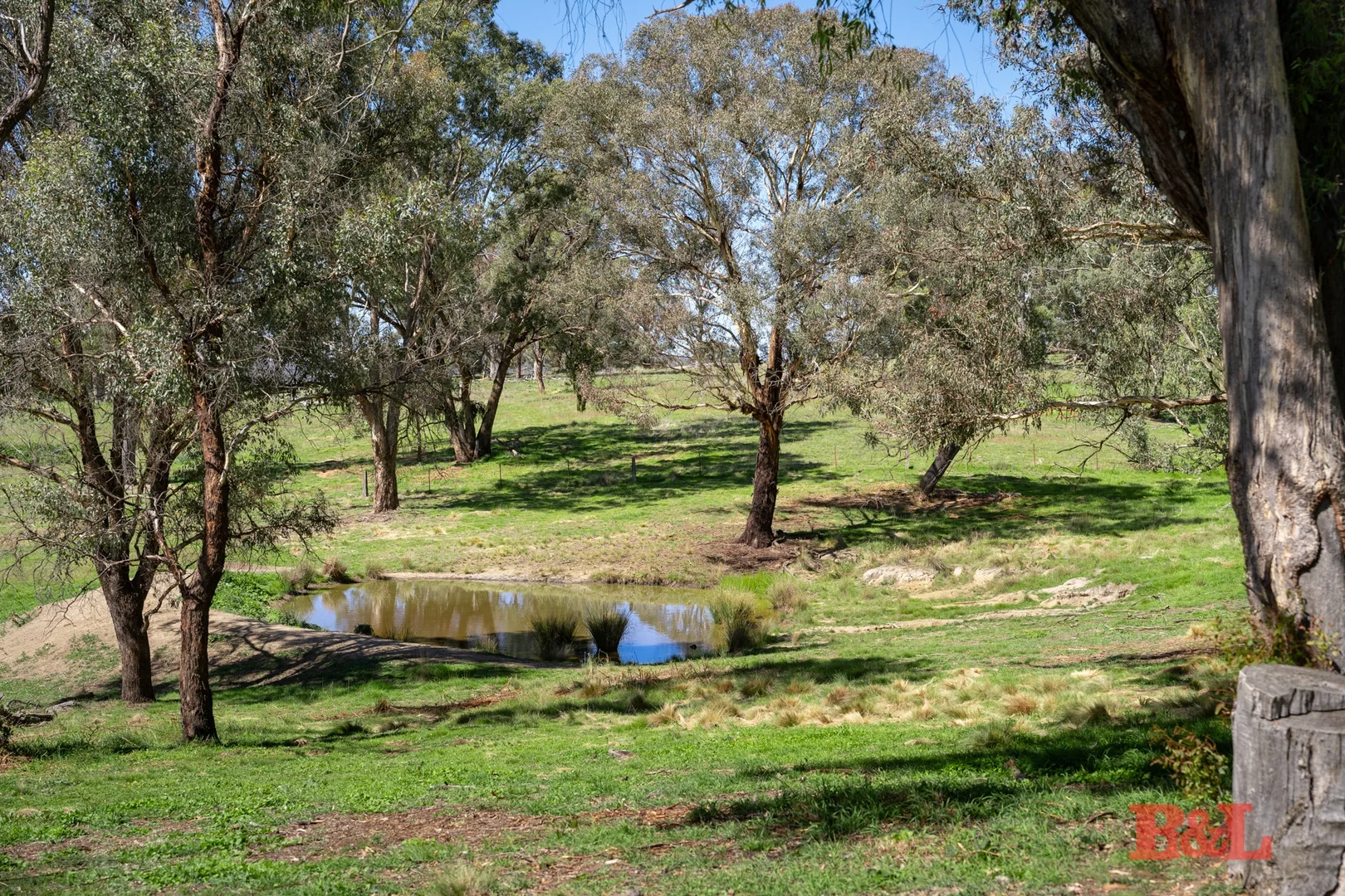 Image 13