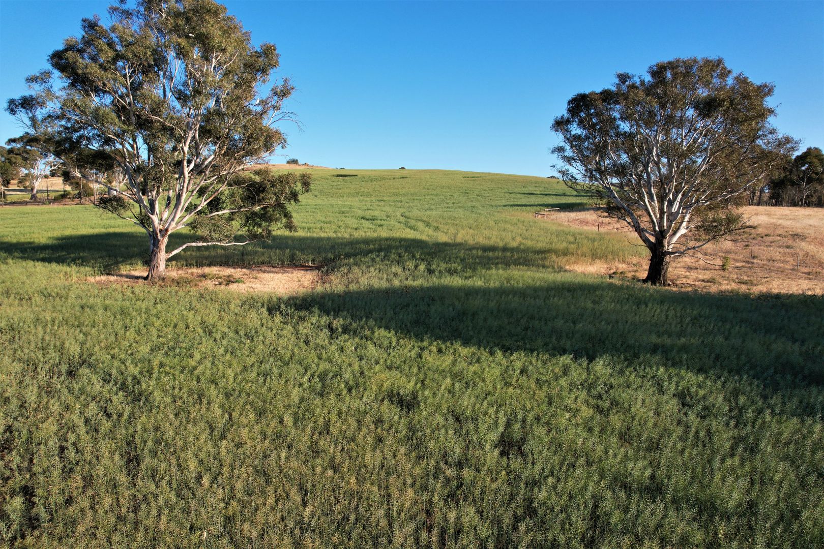 Lot 2 Gap Road, Milendella SA 5237, Image 2