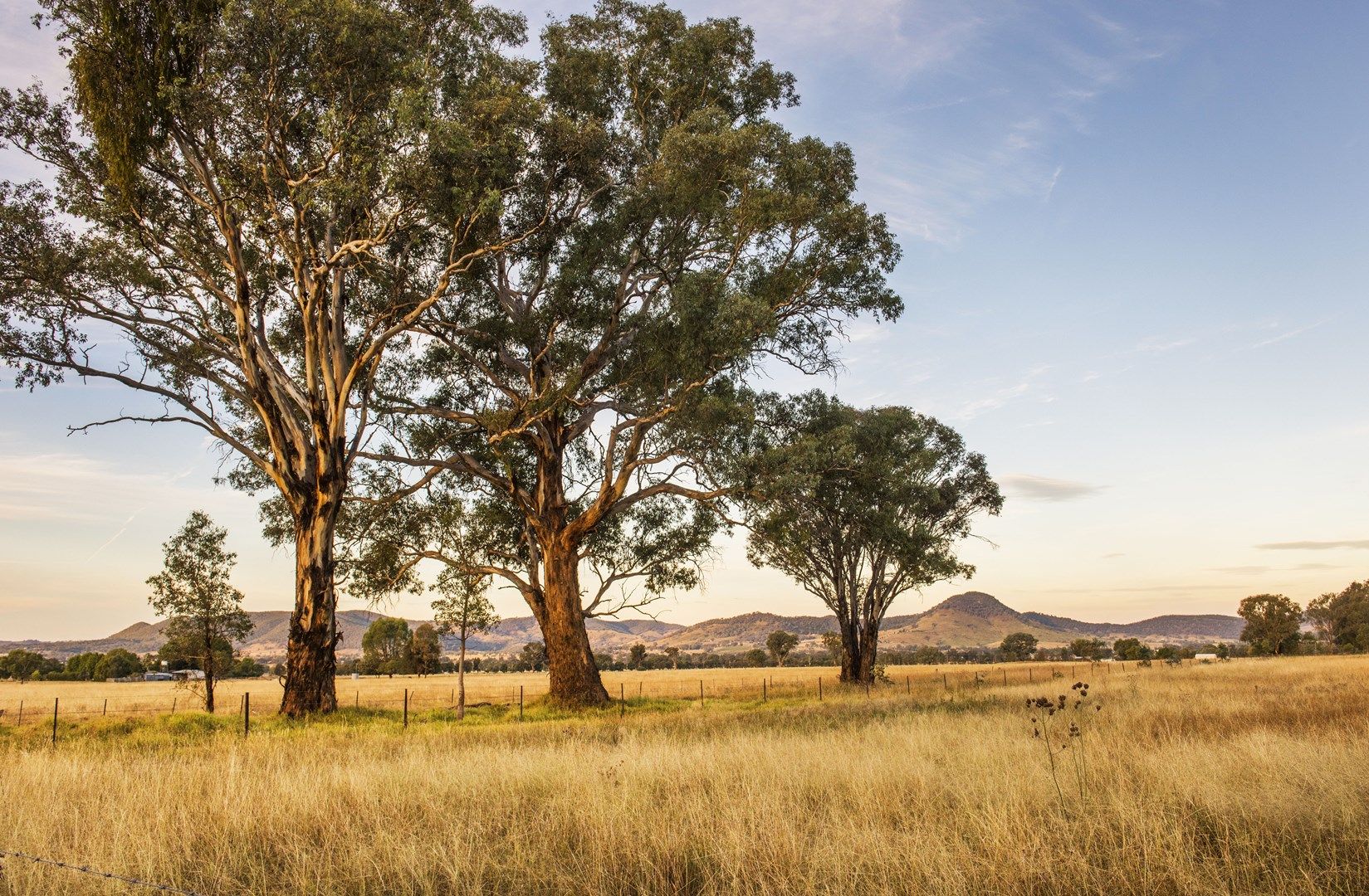 37 Broadhead Road, Mudgee NSW 2850, Image 0