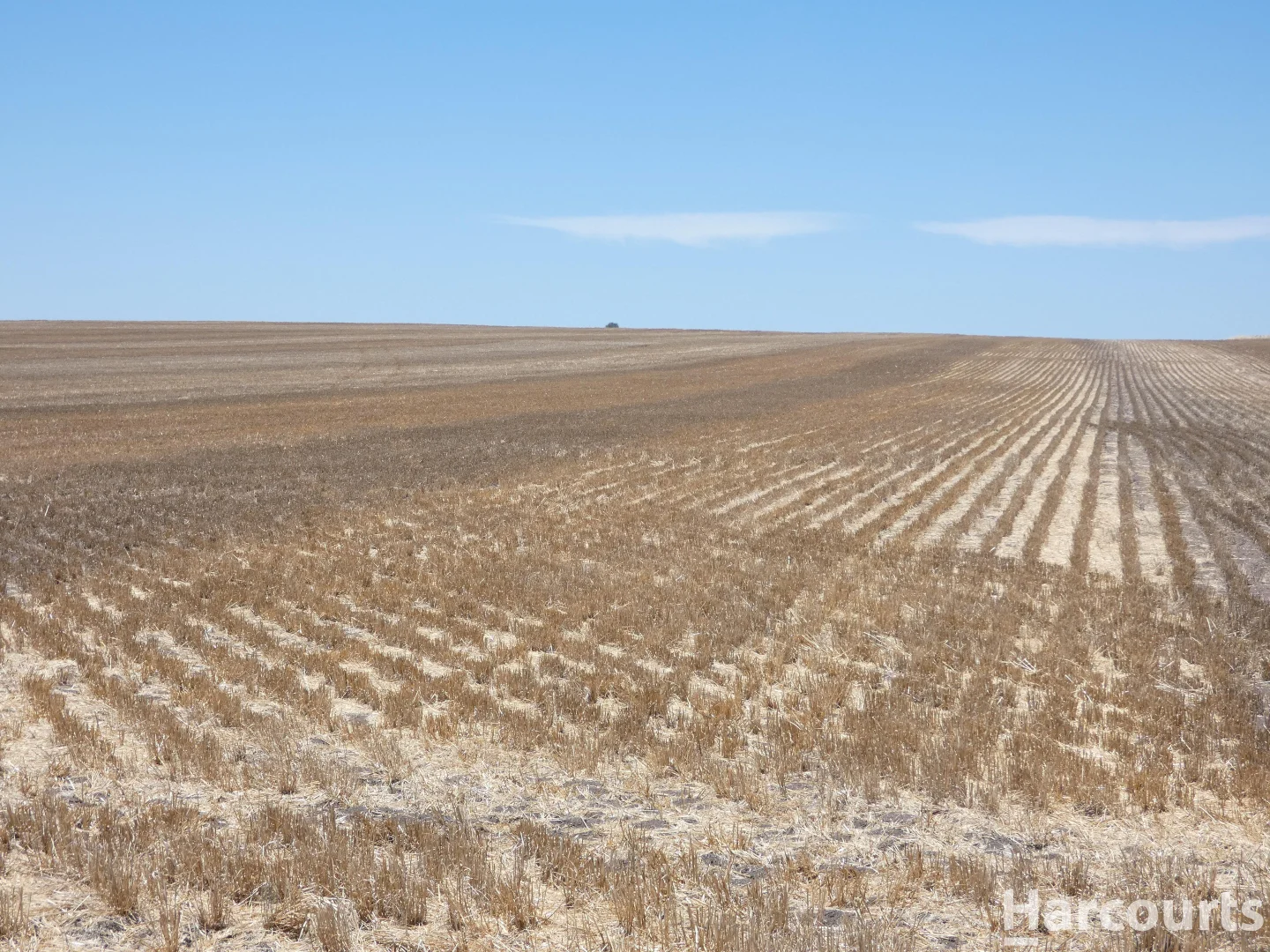 Additional image 7 of . Degenhardts Road, Murtoa VIC 3390