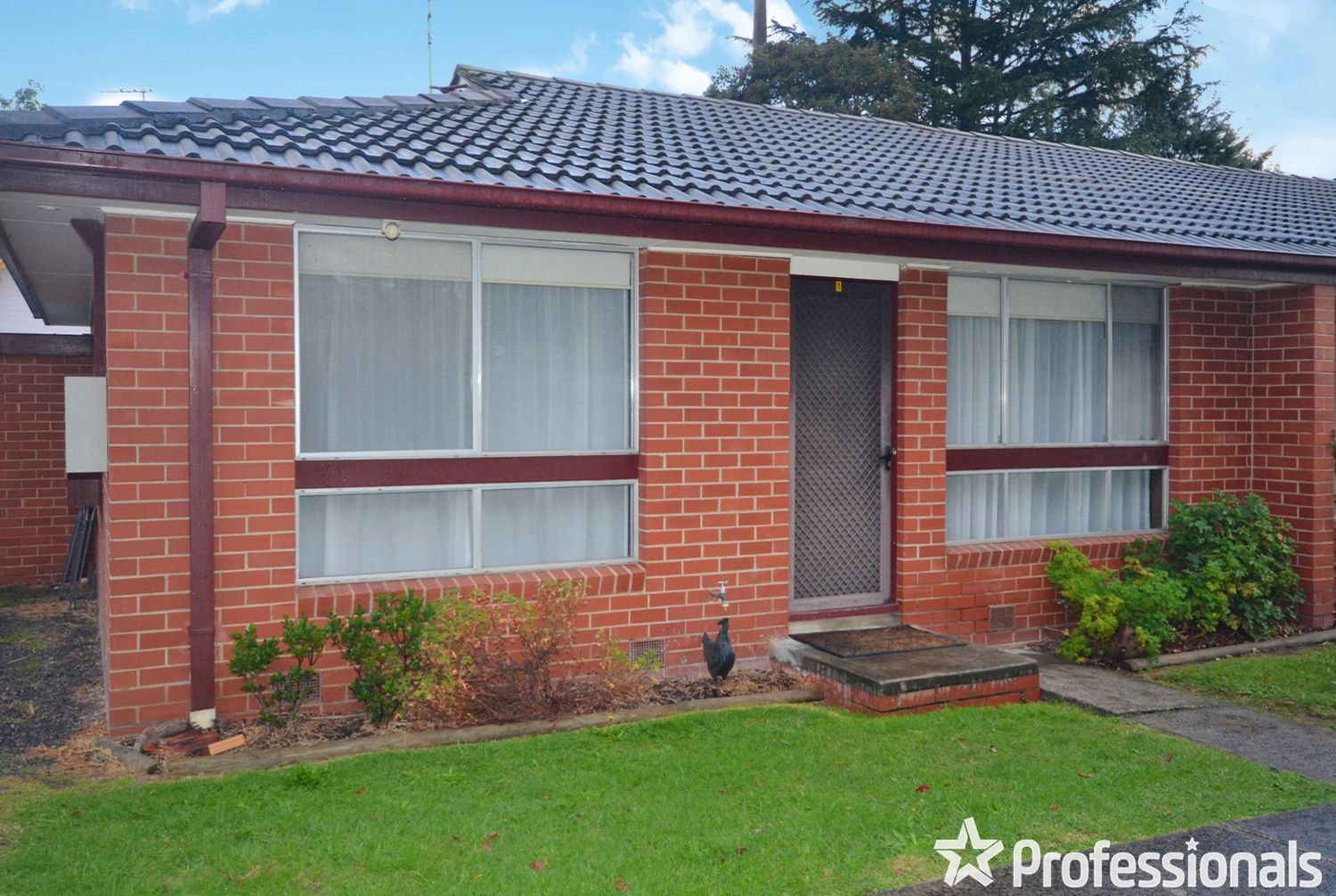 1/3 Ervin Road, Kilsyth VIC 3137 Domain