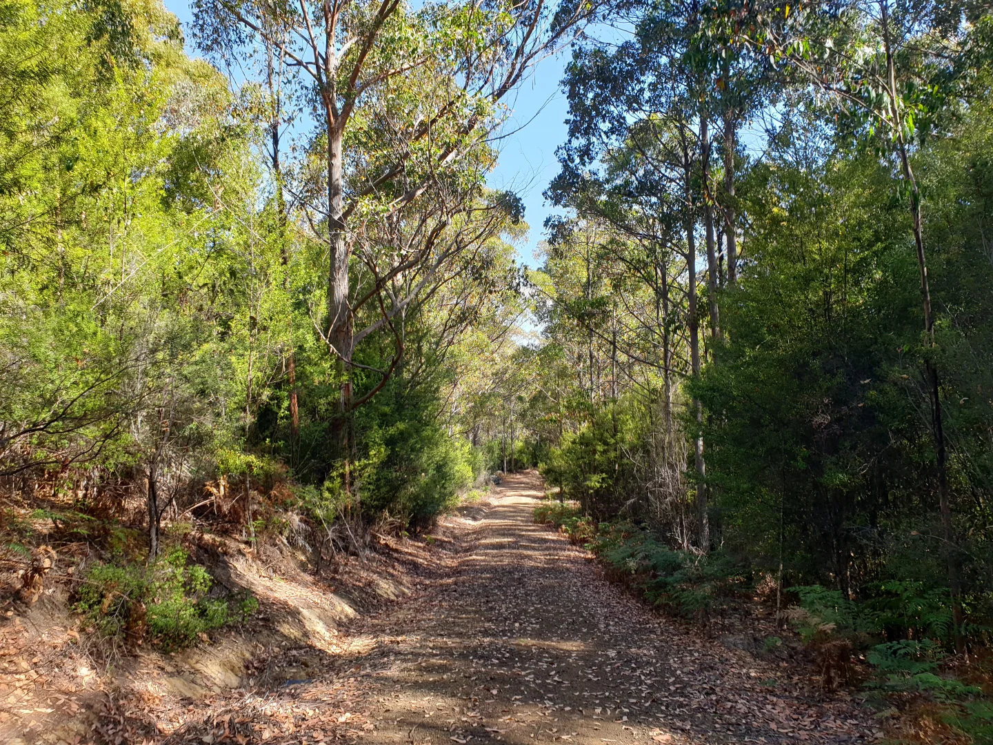 Image 12