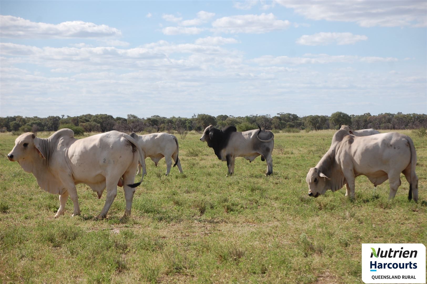 Mckinlay QLD 4823, Image 2